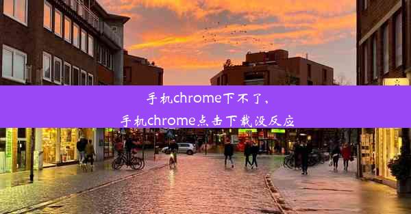 手机chrome下不了,手机chrome点击下载没反应