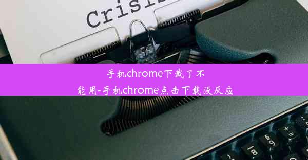 手机chrome下载了不能用-手机chrome点击下载没反应