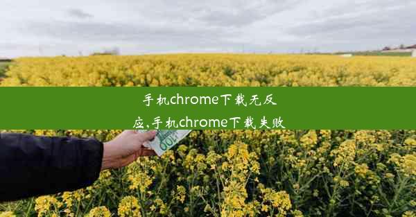 手机chrome下载无反应,手机chrome下载失败