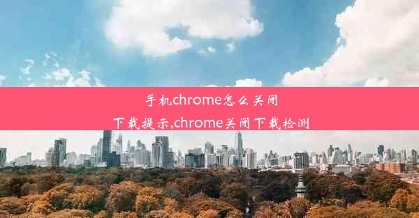 手机chrome怎么关闭下载提示,chrome关闭下载检测