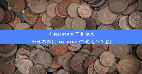 手机chrome下载的文件找不到(手机chrome下载文件位置)