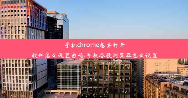 手机chrome想要打开软件怎么设置密码,手机谷歌浏览器怎么设置