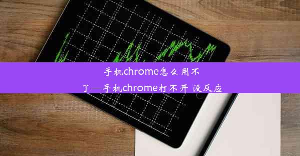 手机chrome怎么用不了—手机chrome打不开 没反应