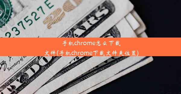 手机chrome怎么下载文件(手机chrome下载文件夹位置)