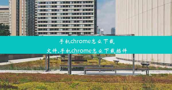 手机chrome怎么下载文件,手机chrome怎么下载插件