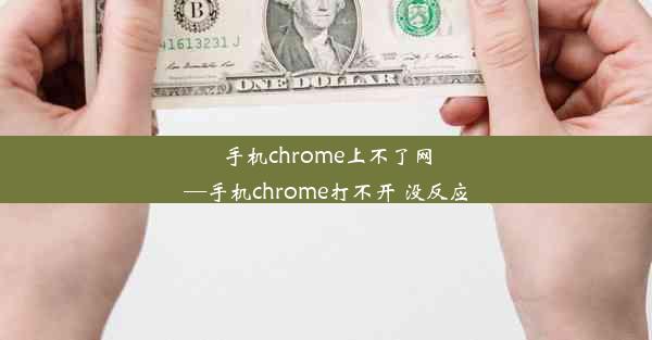 手机chrome上不了网—手机chrome打不开 没反应