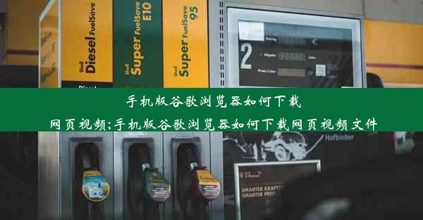 手机版谷歌浏览器如何下载网页视频;手机版谷歌浏览器如何下载网页视频文件