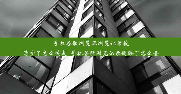 手机谷歌浏览器浏览记录被清空了怎么恢复_手机谷歌浏览记录删除了怎么查