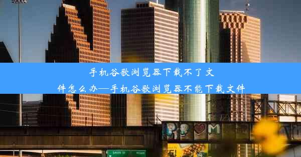 手机谷歌浏览器下载不了文件怎么办—手机谷歌浏览器不能下载文件