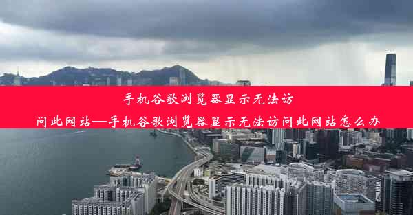 手机谷歌浏览器显示无法访问此网站—手机谷歌浏览器显示无法访问此网站怎么办