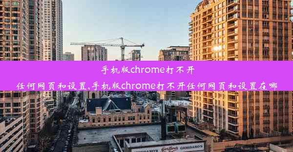 手机版chrome打不开任何网页和设置,手机版chrome打不开任何网页和设置在哪