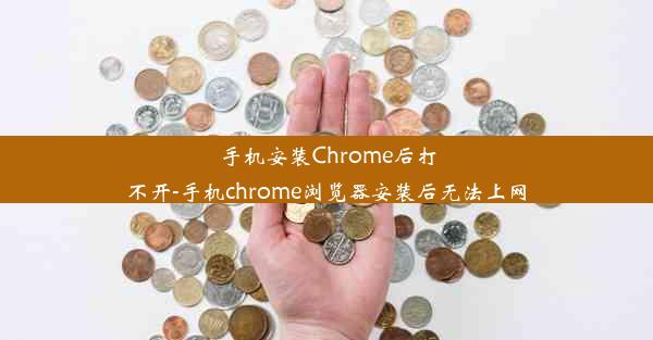 手机安装Chrome后打不开-手机chrome浏览器安装后无法上网