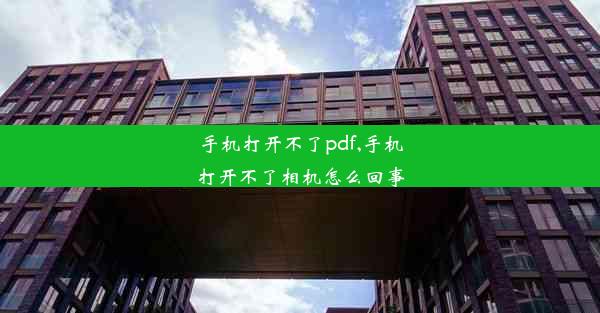 手机打开不了pdf,手机打开不了相机怎么回事