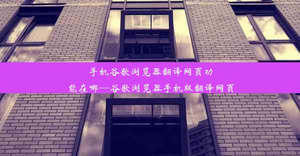 手机谷歌浏览器翻译网页功能在哪—谷歌浏览器手机版翻译网页