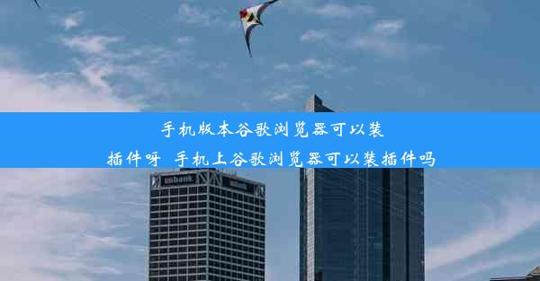 手机版本谷歌浏览器可以装插件呀_手机上谷歌浏览器可以装插件吗