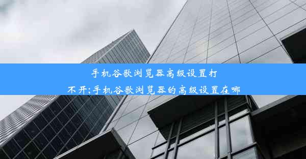 手机谷歌浏览器高级设置打不开;手机谷歌浏览器的高级设置在哪