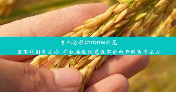 手机谷歌chrome浏览器不能用怎么办_手机谷歌浏览器不能打开网页怎么办