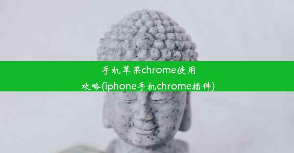 手机苹果chrome使用攻略(iphone手机chrome插件)