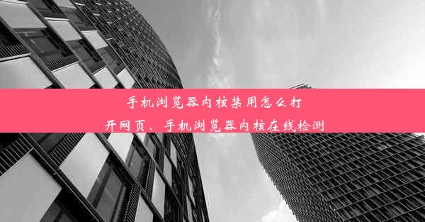 手机浏览器内核禁用怎么打开网页、手机浏览器内核在线检测