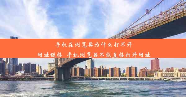 手机在浏览器为什么打不开网址链接_手机浏览器不能直接打开网址