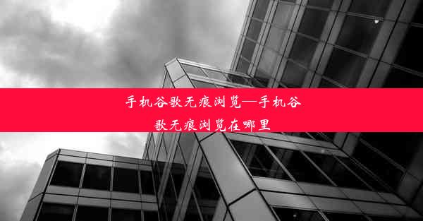 手机谷歌无痕浏览—手机谷歌无痕浏览在哪里