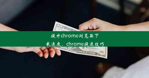 提升chrome浏览器下载速度、chrome提速技巧