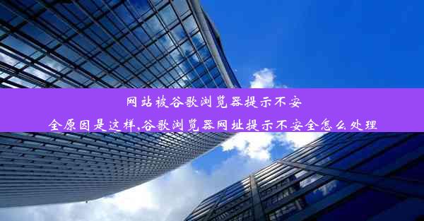 网站被谷歌浏览器提示不安全原因是这样,谷歌浏览器网址提示不安全怎么处理