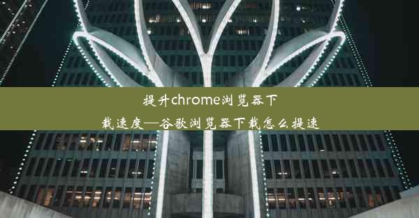 提升chrome浏览器下载速度—谷歌浏览器下载怎么提速