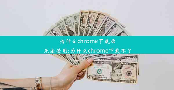 为什么chrome下载后无法使用;为什么chrome下载不了