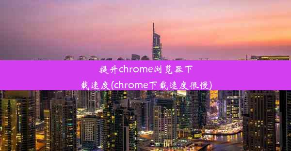 提升chrome浏览器下载速度(chrome下载速度很慢)