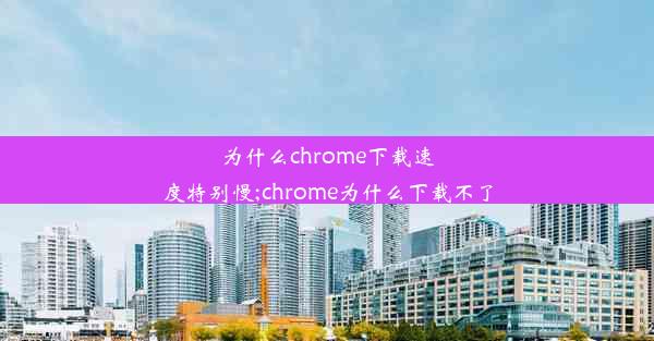 为什么chrome下载速度特别慢;chrome为什么下载不了