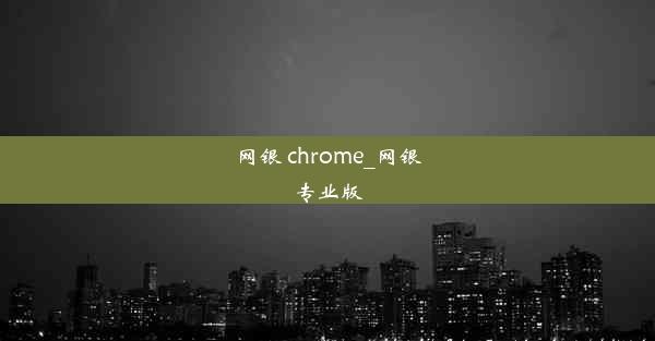 网银 chrome_网银专业版