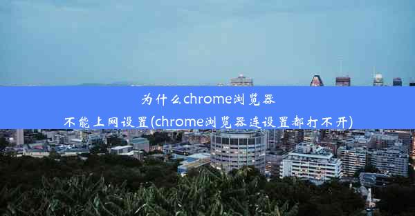 为什么chrome浏览器不能上网设置(chrome浏览器连设置都打不开)