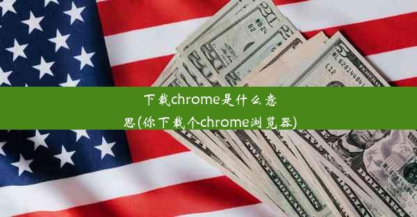 下载chrome是什么意思(你下载个chrome浏览器)