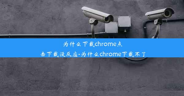 为什么下载chrome点击下载没反应-为什么chrome下载不了