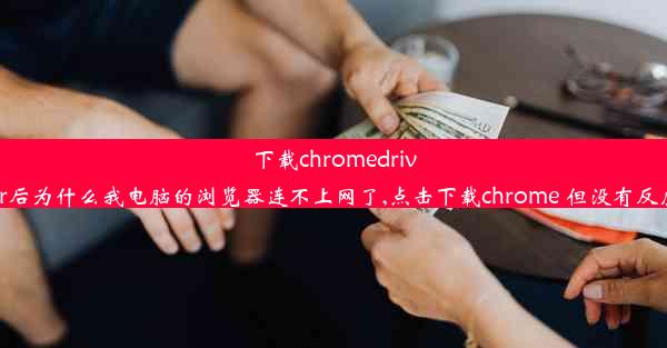 下载chromedriver后为什么我电脑的浏览器连不上网了,点击下载chrome 但没有反应