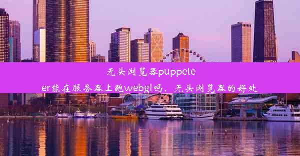 无头浏览器puppeteer能在服务器上跑webgl吗、无头浏览器的好处