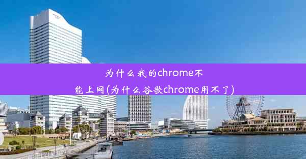 为什么我的chrome不能上网(为什么谷歌chrome用不了)