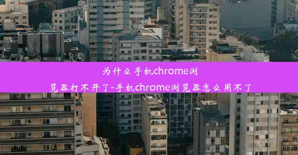 为什么手机chrome浏览器打不开了-手机chrome浏览器怎么用不了