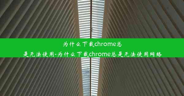 为什么下载chrome总是无法使用-为什么下载chrome总是无法使用网络