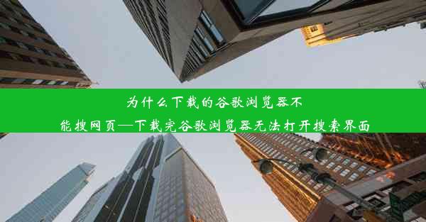 为什么下载的谷歌浏览器不能搜网页—下载完谷歌浏览器无法打开搜索界面