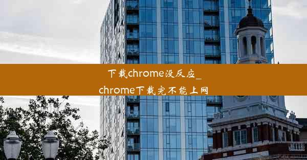 下载chrome没反应_chrome下载完不能上网