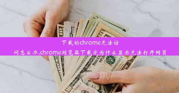 下载的chrome无法访问怎么办,chrome浏览器下载完为什么显示无法打开网页