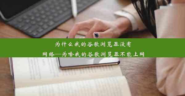 为什么我的谷歌浏览器没有网络—为啥我的谷歌浏览器不能上网