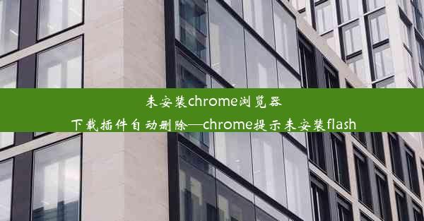 未安装chrome浏览器下载插件自动删除—chrome提示未安装flash