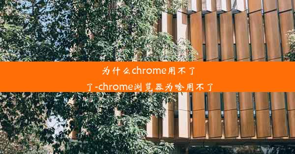 为什么chrome用不了了-chrome浏览器为啥用不了