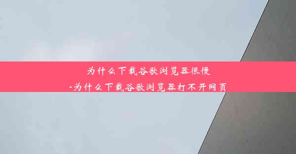 为什么下载谷歌浏览器很慢-为什么下载谷歌浏览器打不开网页