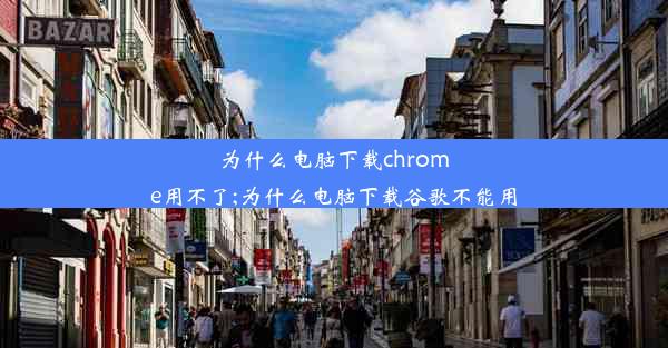 为什么电脑下载chrome用不了;为什么电脑下载谷歌不能用