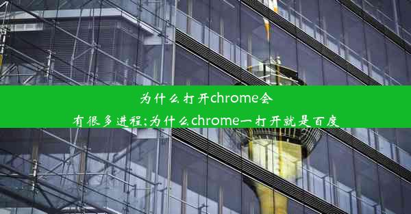 为什么打开chrome会有很多进程;为什么chrome一打开就是百度