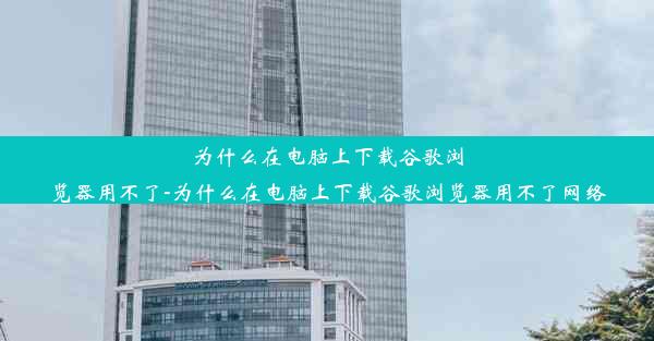 为什么在电脑上下载谷歌浏览器用不了-为什么在电脑上下载谷歌浏览器用不了网络